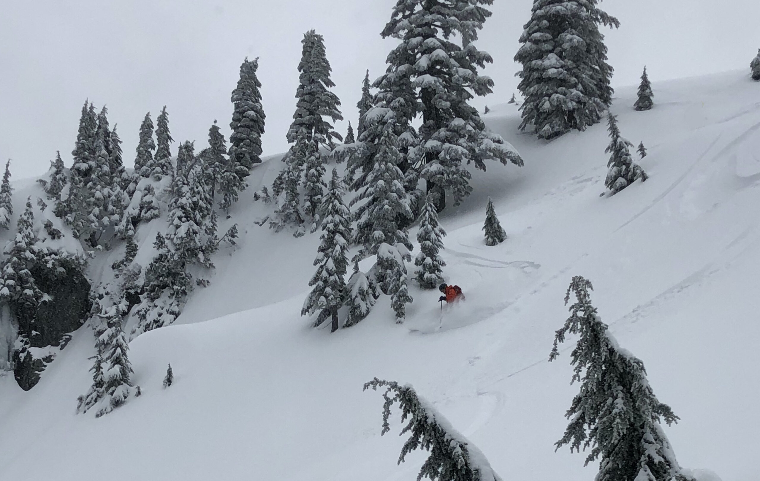Powder backcountry skiing in Cypress Park