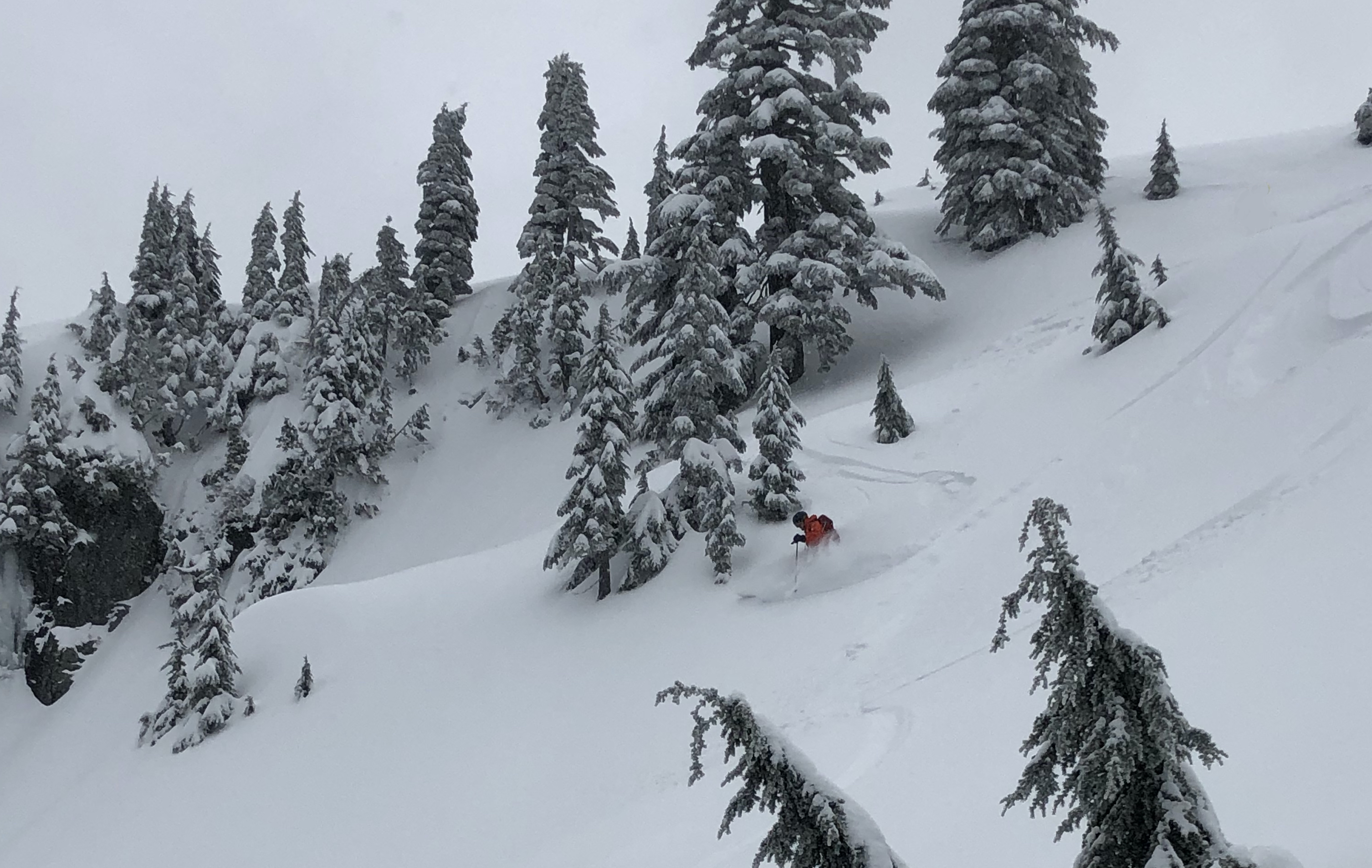 Vancouver Backcountry Skiing