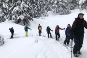 Mount Seymour Backcountry Skiing Dawn Patrol Club